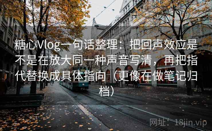 糖心Vlog一句话整理：把回声效应是不是在放大同一种声音写清，再把指代替换成具体指向（更像在做笔记归档）