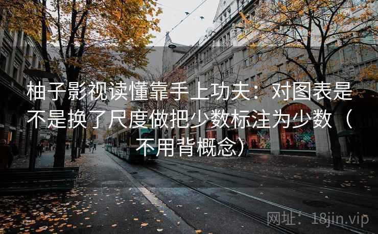 柚子影视读懂靠手上功夫：对图表是不是换了尺度做把少数标注为少数（不用背概念）